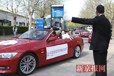中国首届宠物集体婚礼亮相<a href='http://www.bjxxg.cn/news/beijing/' target='_blank'><u>北京</u></a> 吸引了200多名喜爱宠物人士前来见证