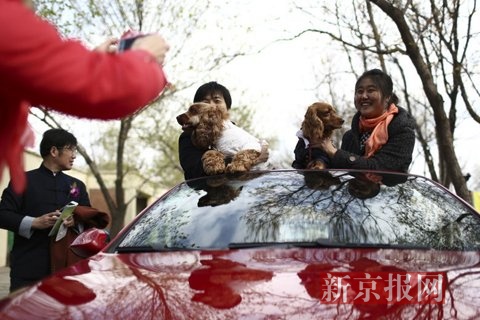 中国首届宠物集体婚礼亮相<a href='http://www.bjxxg.cn/news/beijing/' target='_blank'><u>北京</u></a> 吸引了200多名喜爱宠物人士前来见证