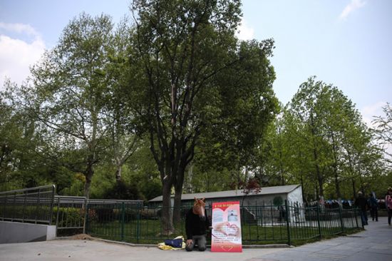 合肥38岁父亲救子扮马让人骑 有不少热心市民被感动而捐款【图】