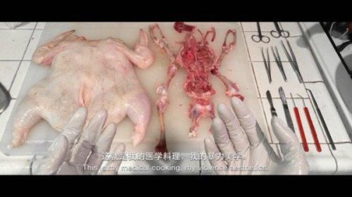 医学生炖鸡照网络爆红 靠解剖功底将鸡脱骨