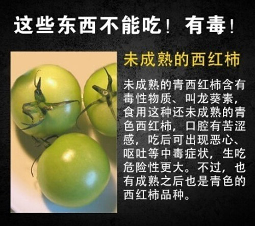 常见九种有毒食物 注意这些东西不能吃