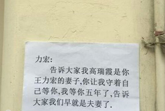 王力宏商演遭袭被砸视频 扔瓶子者高瑞霞是谁个人资料微博（2）