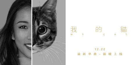 吉克隽逸新歌献爱宠 吉克隽逸《我的猫》歌词试听