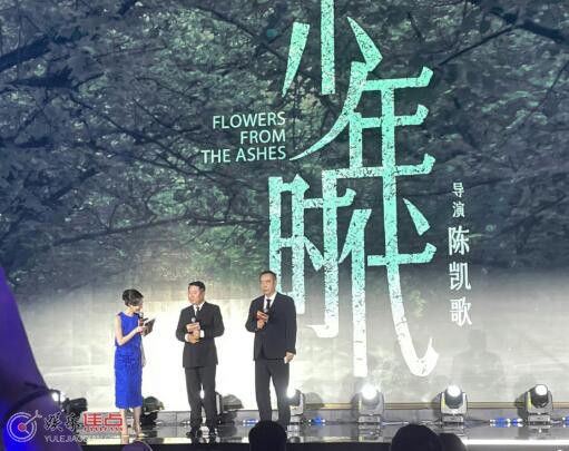 少年时代是翻拍美国的吗