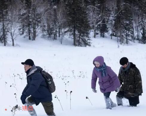 燃冬根据什么小说改编