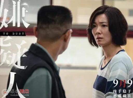 第八个嫌疑人杨芳原型是谁