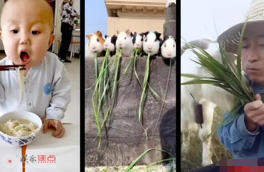 电影烟火人间定档1月13日
