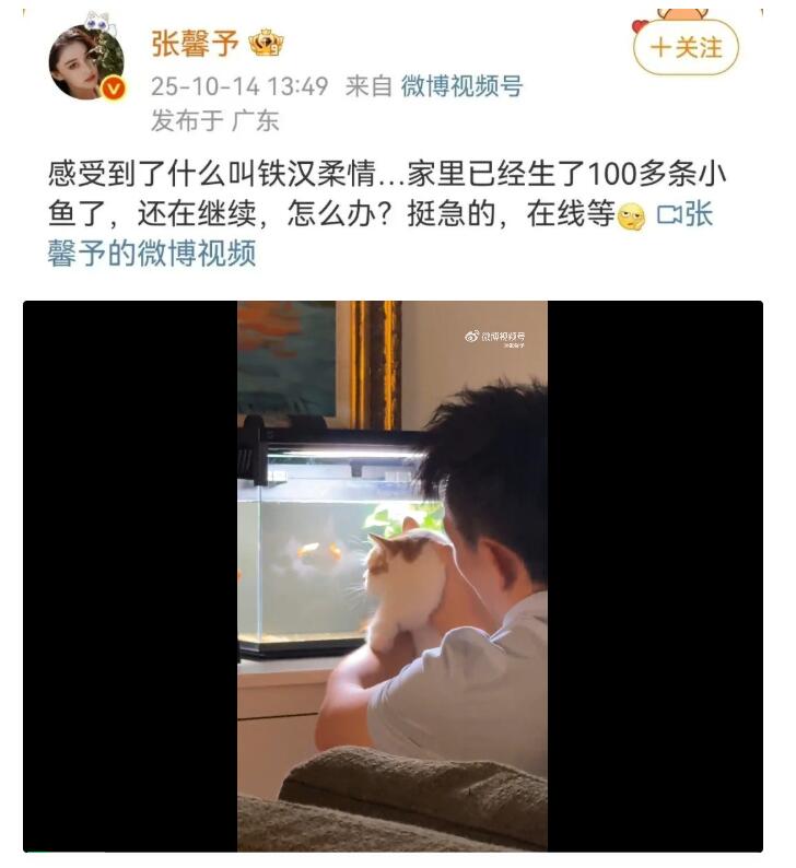 张馨予晒丈夫养鱼视频：家里生了100多条小鱼