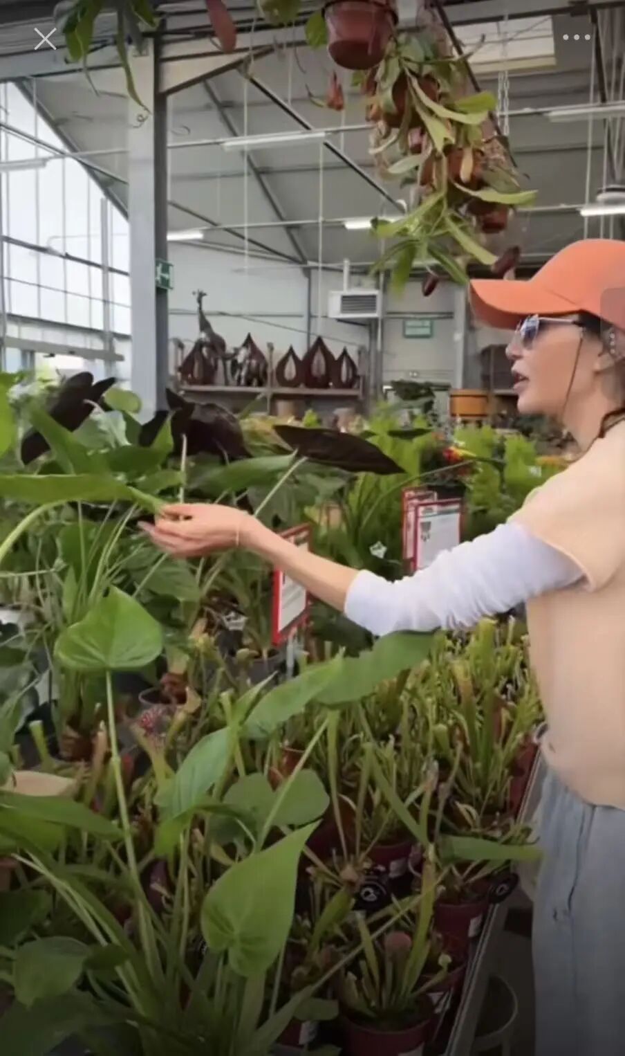 60岁张曼玉迷上当园丁 表示：好开心 好好玩